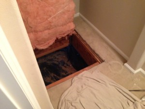 crawlspace